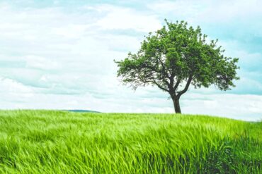 2026年4月1日　OPEN　　　　　　　　　　　　　　 「パーソナル・ケア」という新しい選択